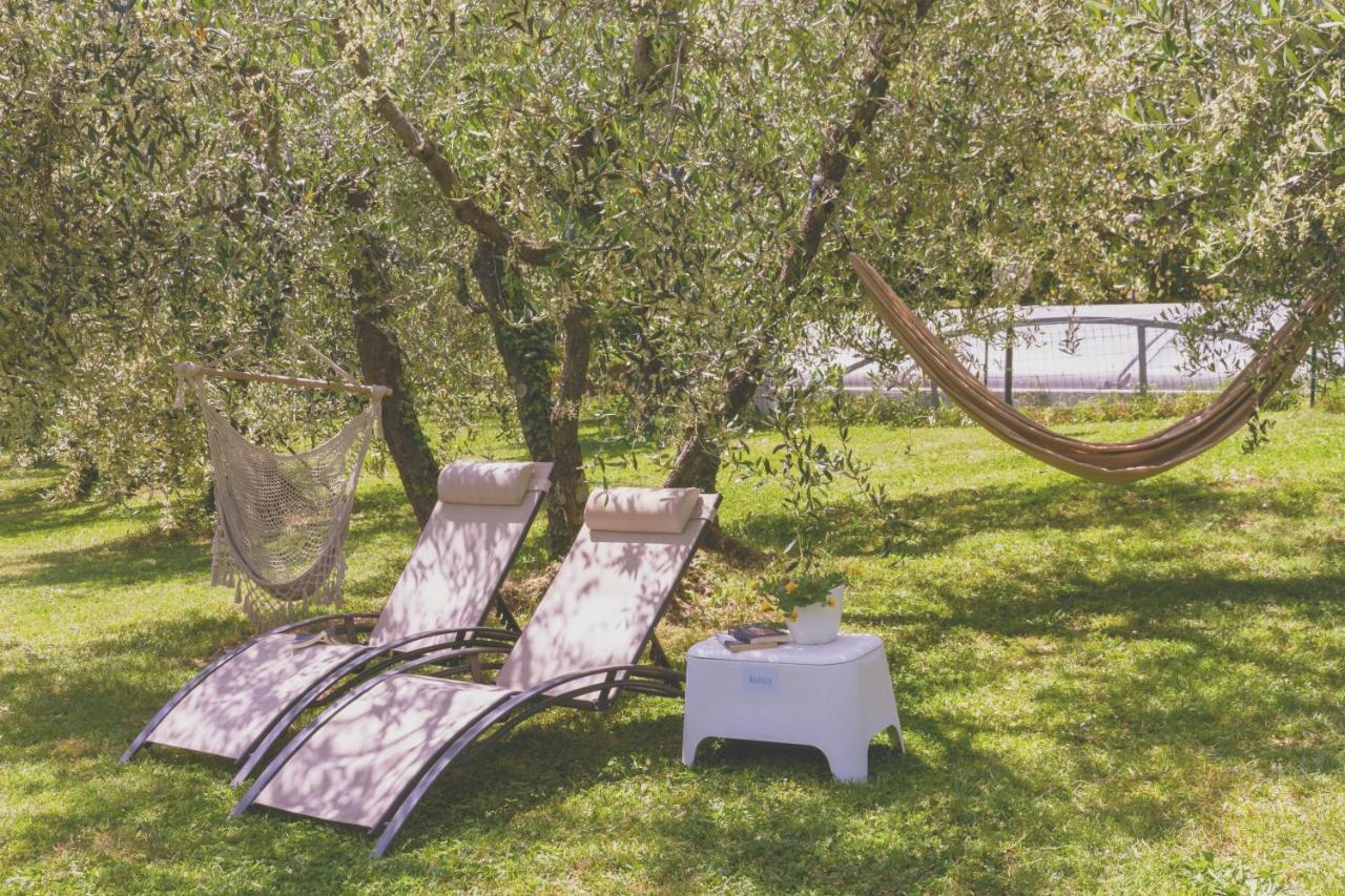 Al Gattosaggio Bed and Breakfast Montecarlo Exteriör bild