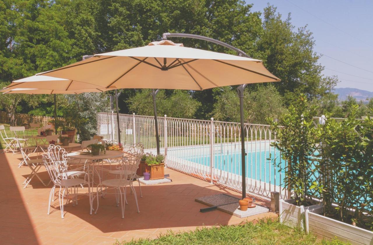 Al Gattosaggio Bed and Breakfast Montecarlo Exteriör bild